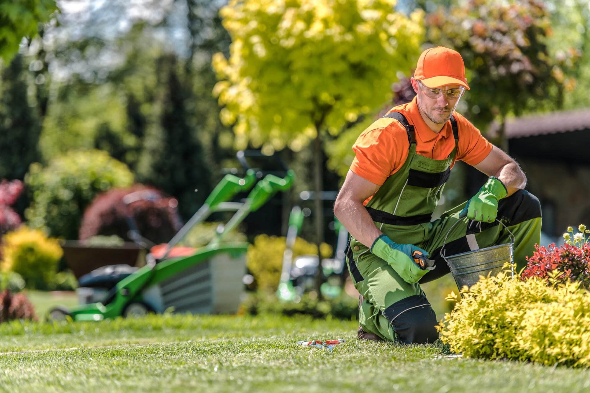 Landscape Maintenance