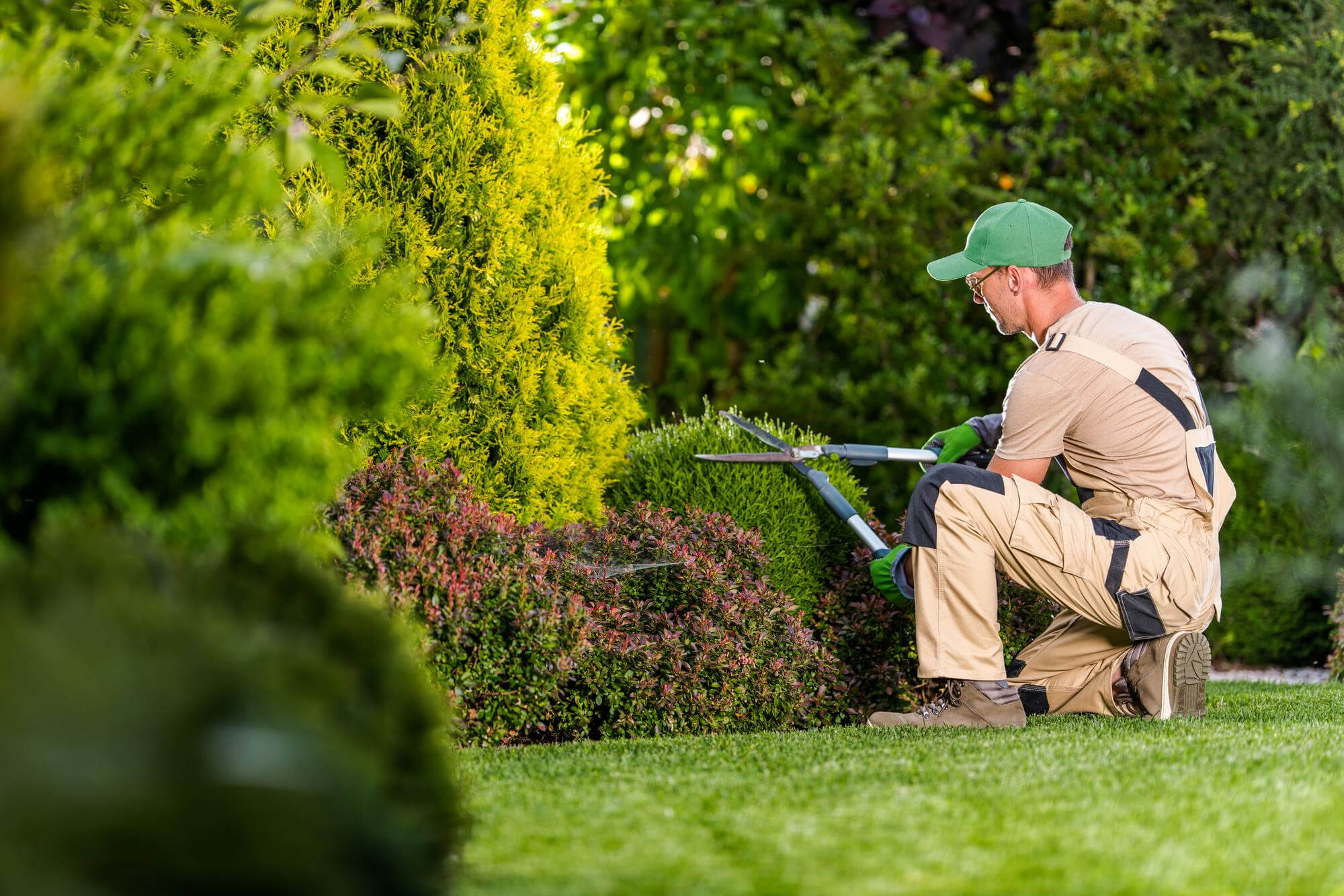 Garden Maintenance
