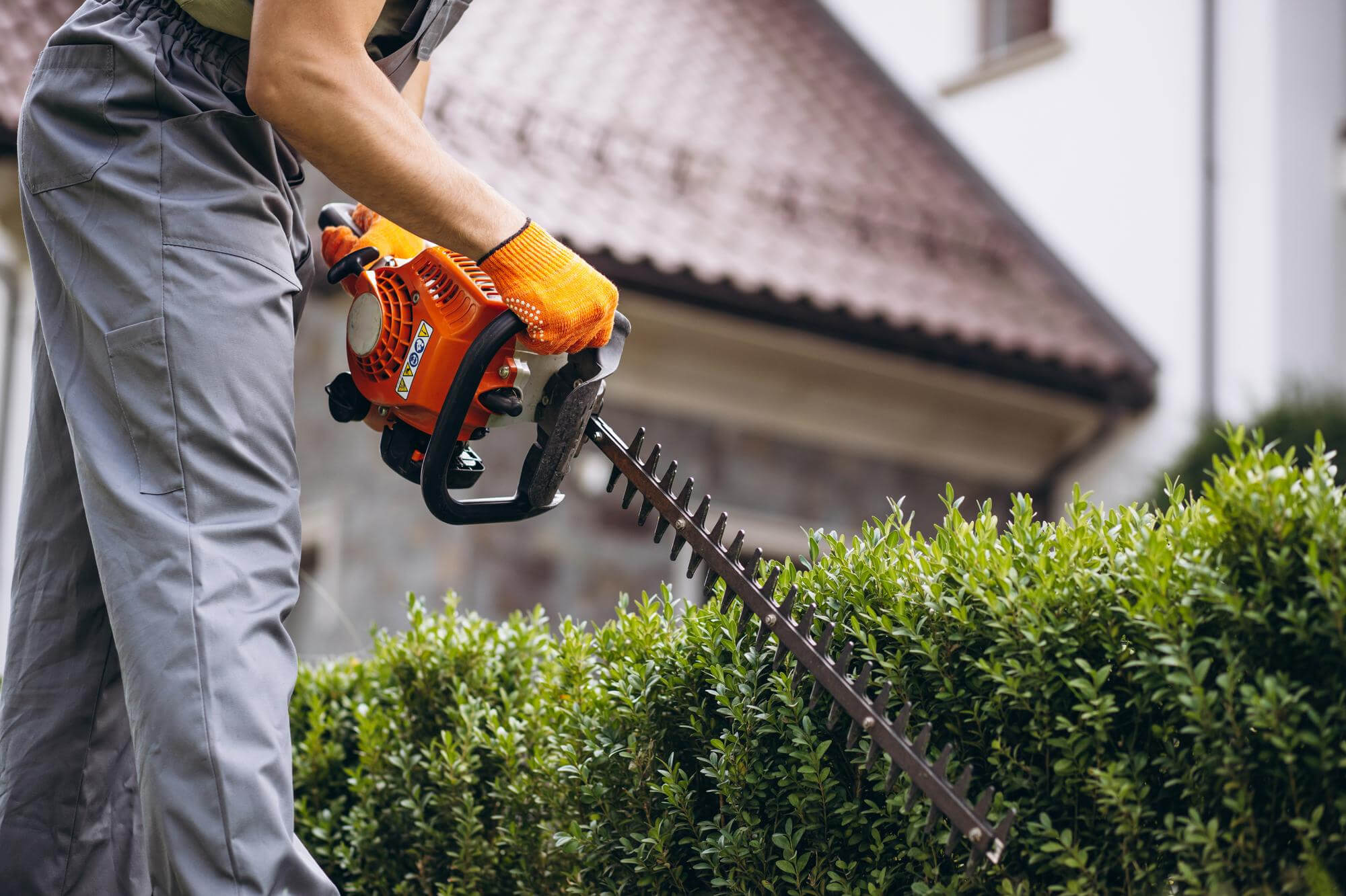 Commercial Hedge Cutting