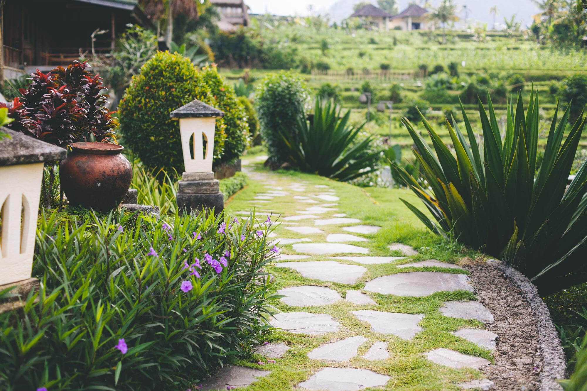Soft Landscaping