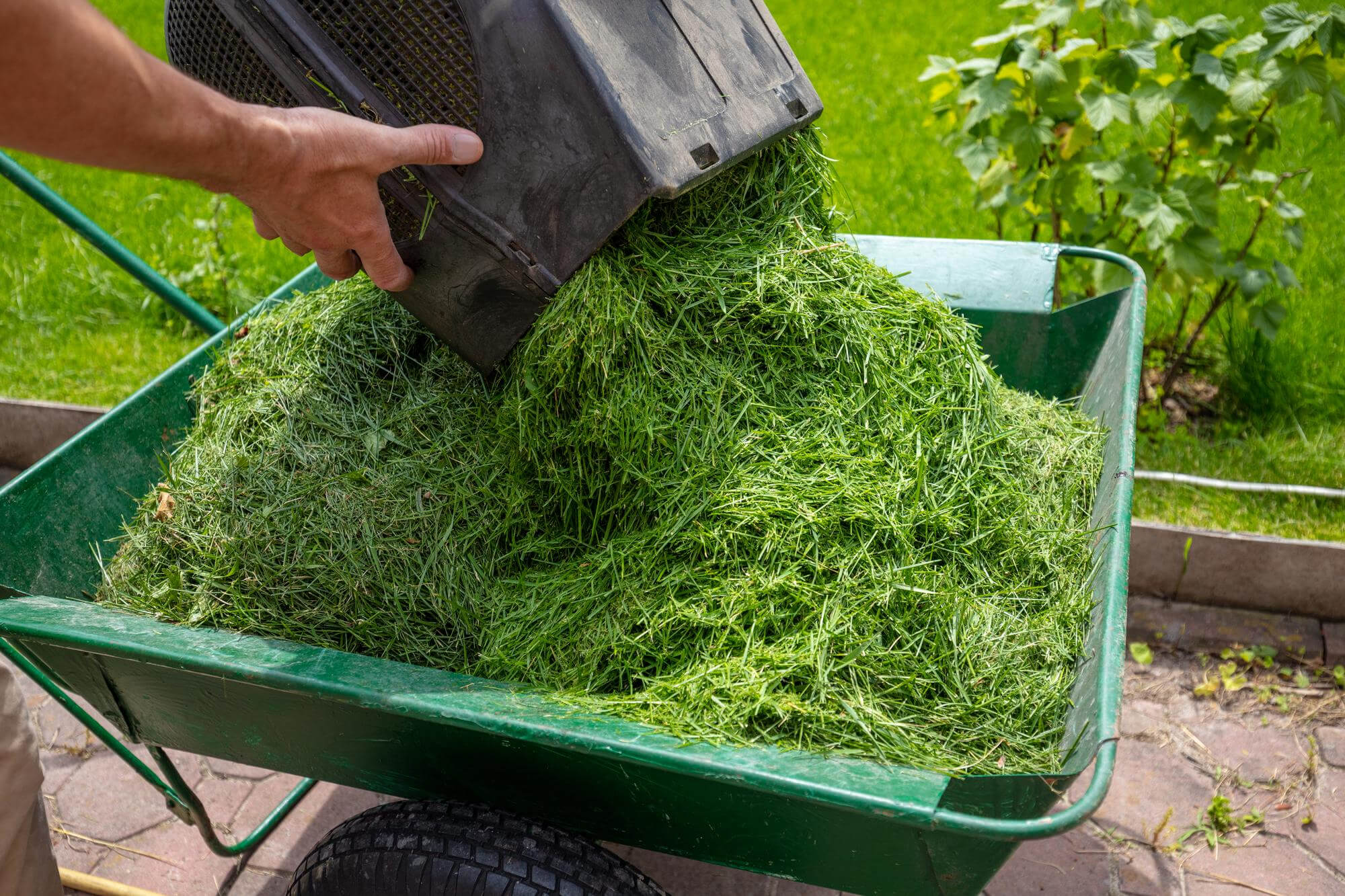 Waste Removal