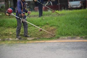 What Are Landscaping Services