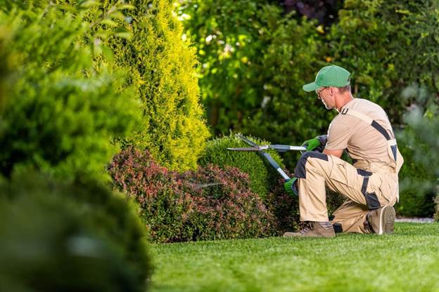 Garden Maintenance