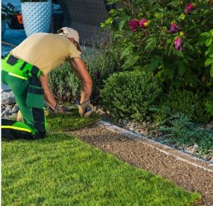 Cost of landscape gardening